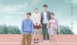 青春抛物线电视剧,梦想与现实的交织之旅